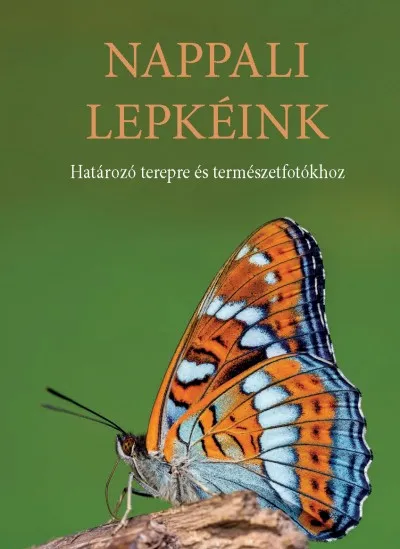 Legnépszerűbb Nappali lepkéink - Határozó terepre és természetfotókhoz