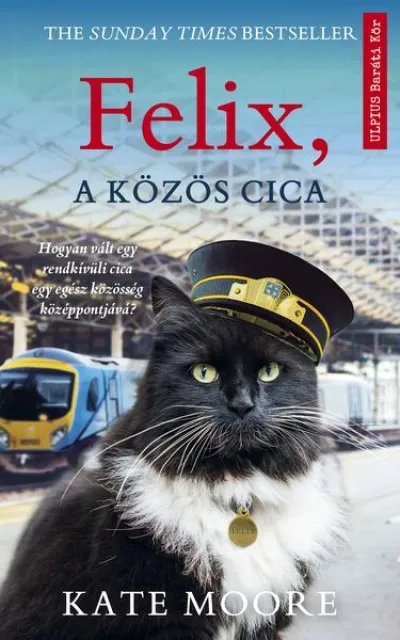 FELIX, A KÖZÖS CICA Legnépszerűbb