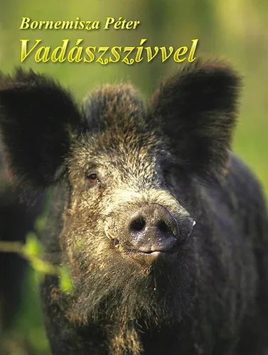 Biztonságos vásárlás Vadászszívvel