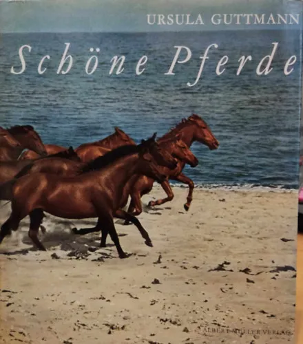 Schöne Pferde (Gyönyörű lovak) Szuper akció