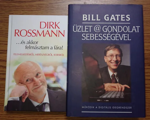 2 gazdag, sikeres vállalkozó életrajza: ...és akkor felmásztam a fára!, Üzlet@gondolatsebességgel Utolsó esély