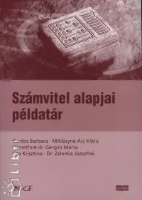 Számvitel alapjai példatár Vedd meg online