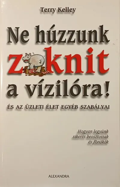 Rendeld meg most Ne húzzunk zoknit a vízilóra! - És az üzleti élet egyéb szabályai