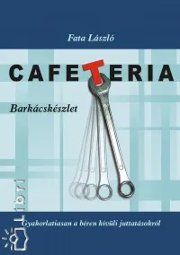 Cafeteria - Barkácskészlet - Gyakorlatiasan a béren kívüli juttatásokról Akciós ár