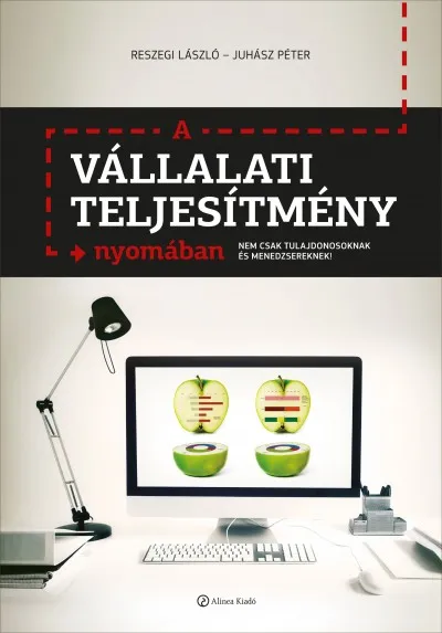 A vállalati teljesítmény nyomában - Nemcsak tulajdonosoknak és menedzsereknek! Akció