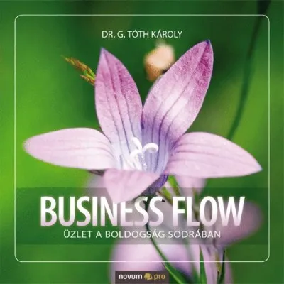 Expressz kézbesítés Business Flow