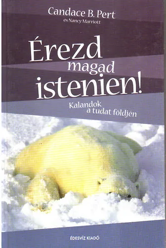 Érezd magad istenien! - Kalandok a tudat földjén Biztonságos fizetés