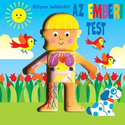 Milyen belülről? - Az emberi test Akció