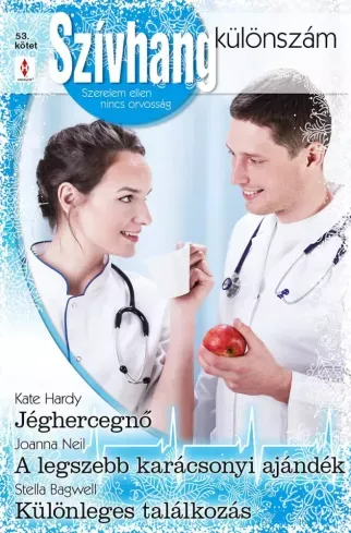 Ajánlat Szívhang különszám 53. - E-könyv