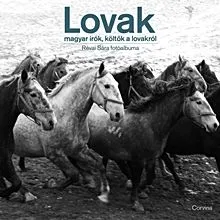 Kiárusítás Lovak