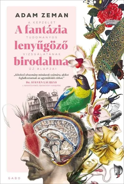 Legjobb ár A fantázia lenyűgöző birodalma